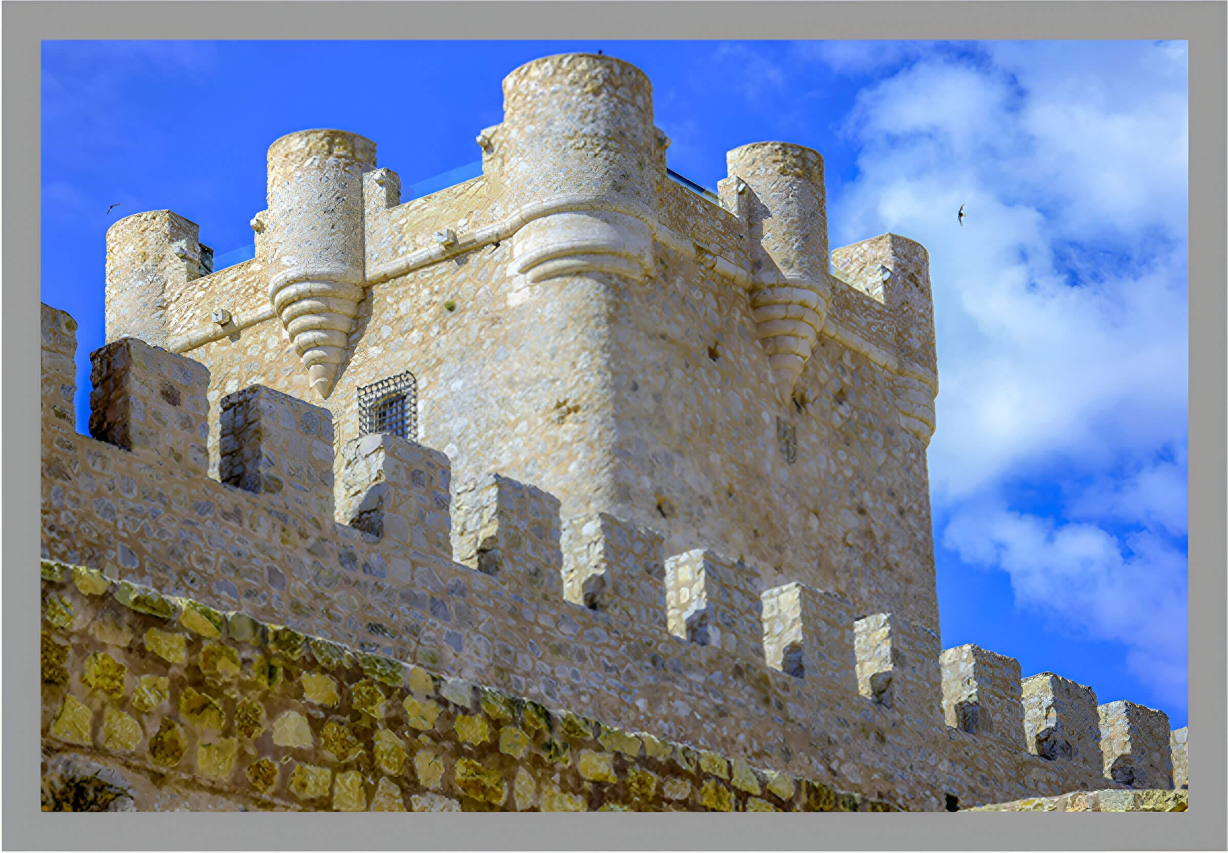 A castle like structure with many windows and walls.