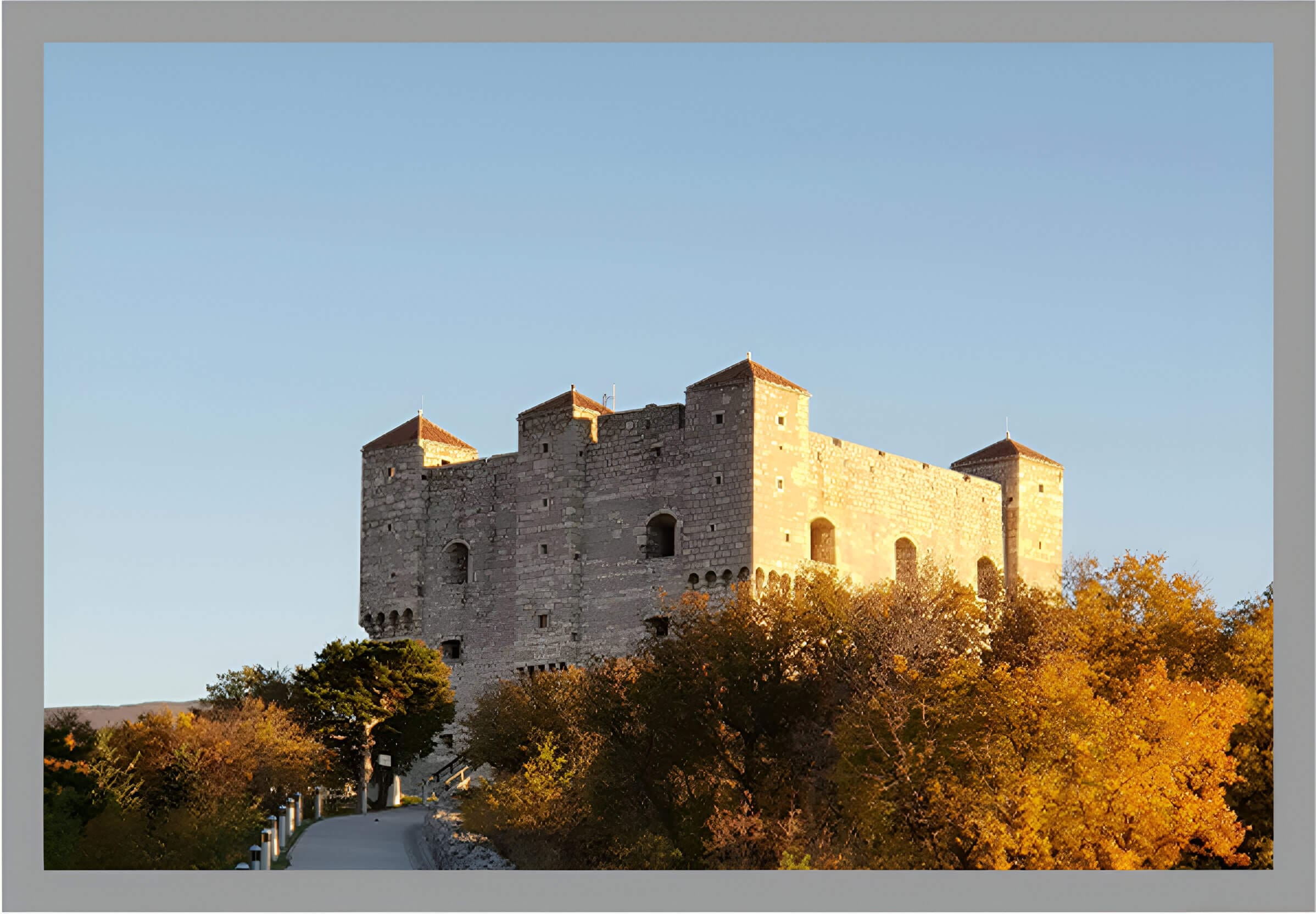 A castle like building with trees in the foreground.